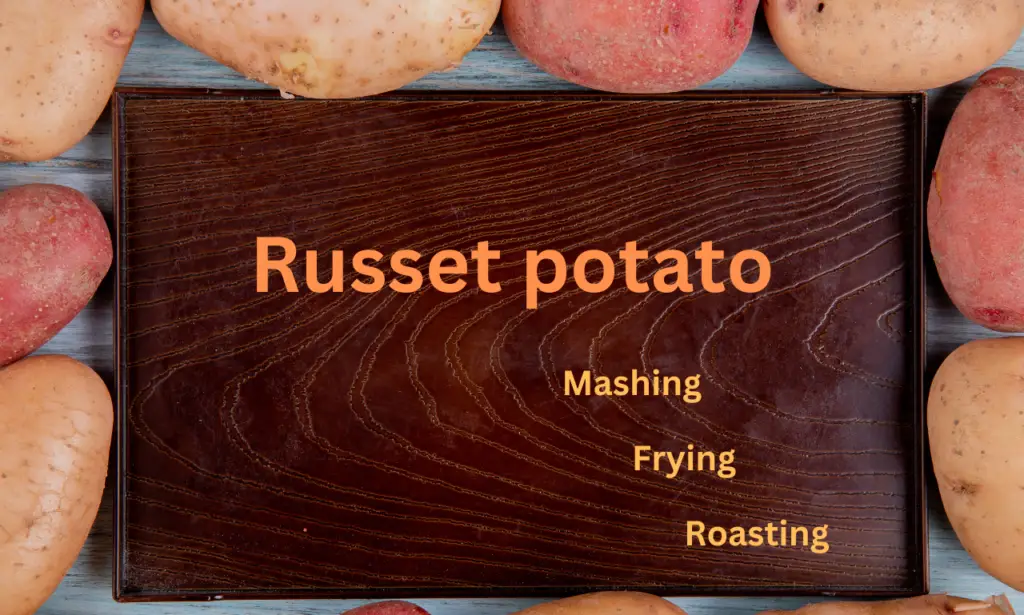 russet potato